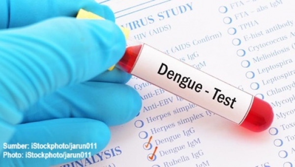 kasus dbd di indonesia meningkat 